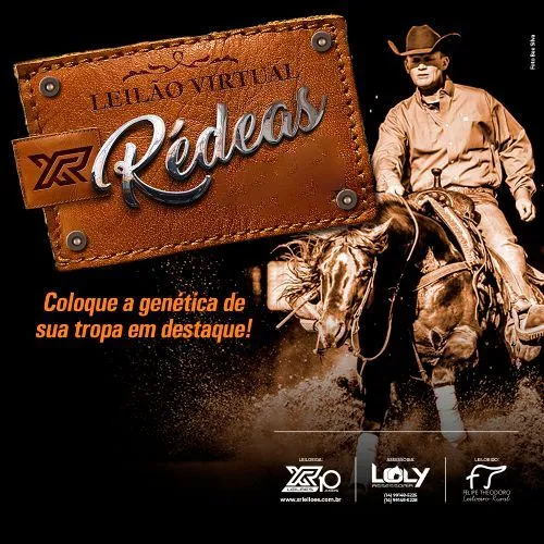Leilão Virtual Elite Nordeste